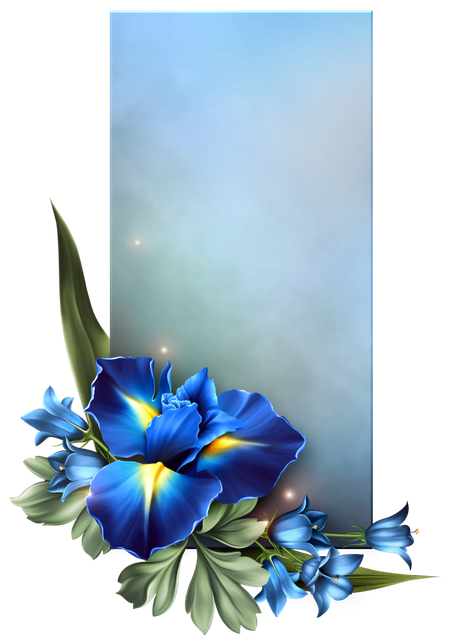 0116 7.png