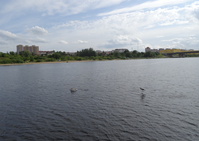 DSC06387-5.jpg