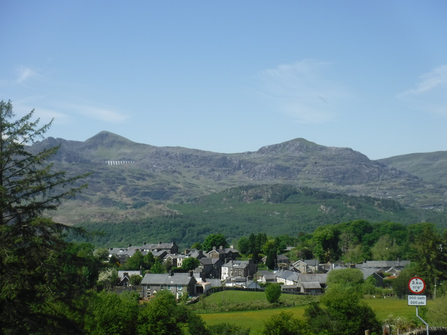 DSCF7911.jpg