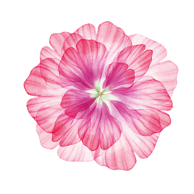 pngegg (70).png