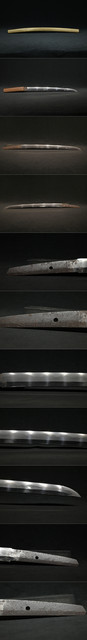 DSC3878