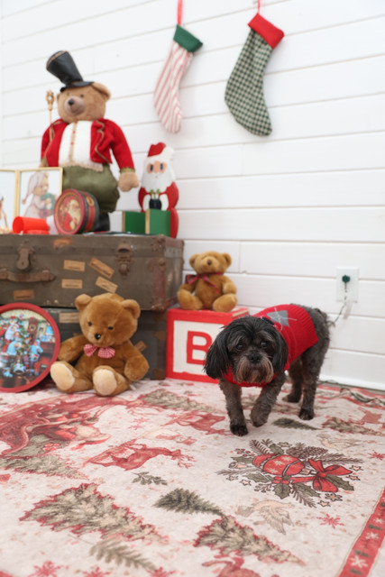 IMG 7216.jpg