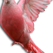 876