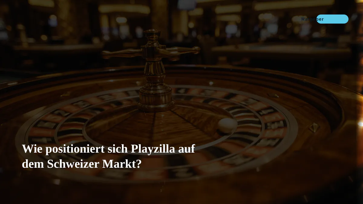 Wie positioniert sich Playzilla auf dem Schweizer Markt?