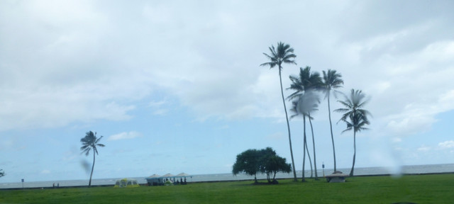 P1070307