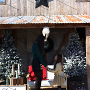 IMG-6476