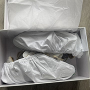 IMG 5543