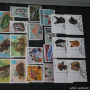 IMG-1983