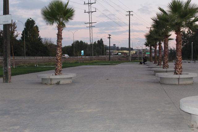 IMG-2419