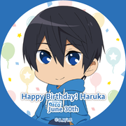 icon2-haruka