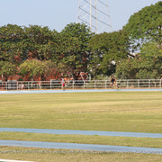 IMG 0107