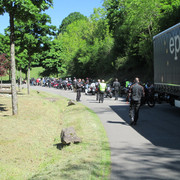 IMG-3498