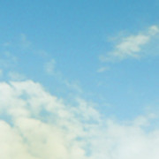 VF-bb06