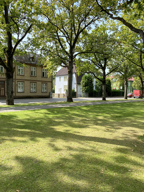 IMG-2504
