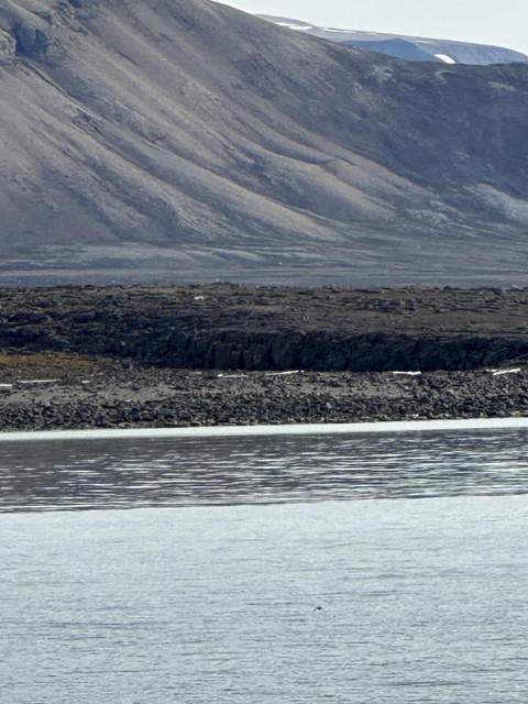 IMG-4802