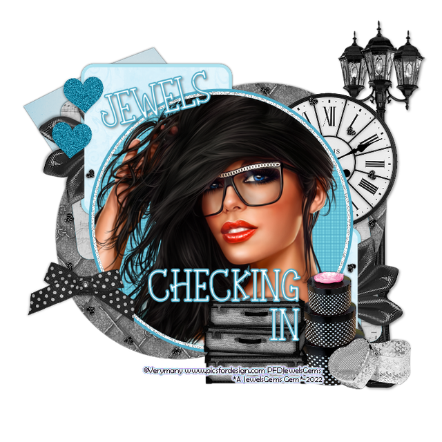 checking-in-VM.png