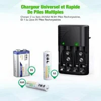 Chargeur de Piles Universel