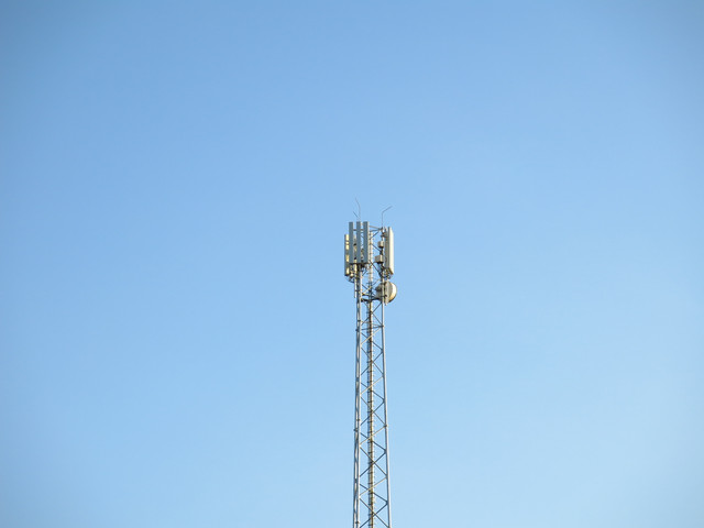 IMG-0603
