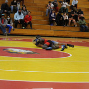 IMG-0466