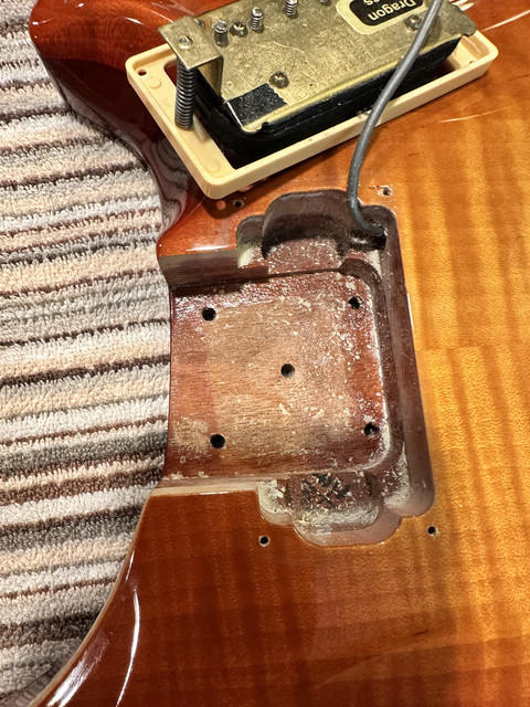 NGD: 1997 CE22 Stoptail with Birds | Official PRS Guitars Forum