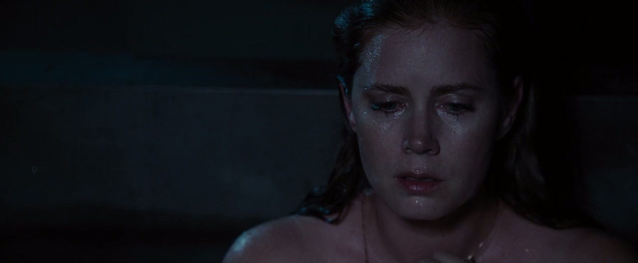 Nocturnal Animals Screenshot