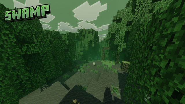 swamp