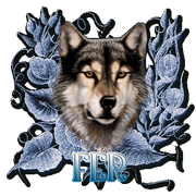 LOBO-FER