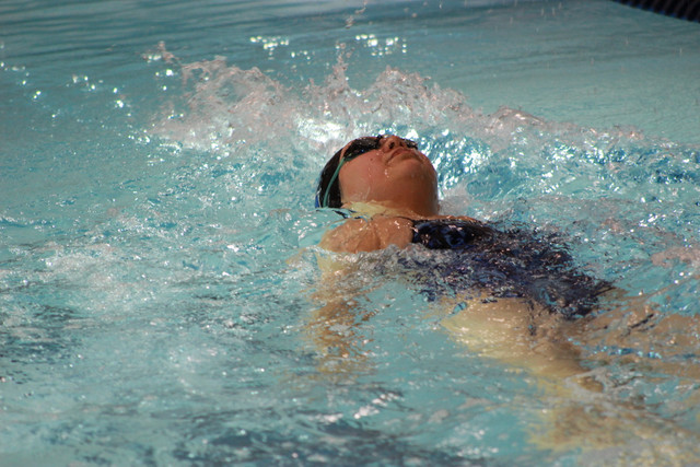 IMG-0541