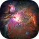 orionnebula.png