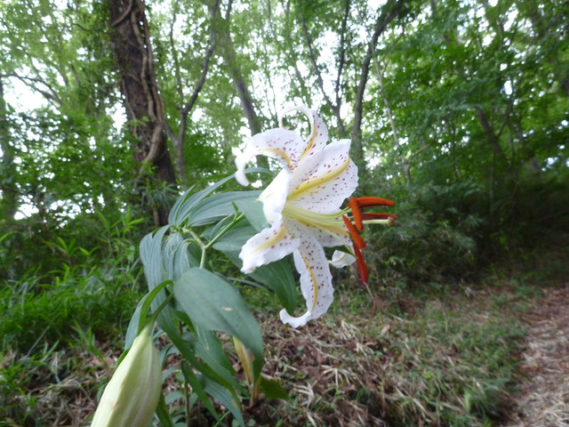 P1320694