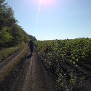 IMG-4101