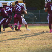 IMG-1259