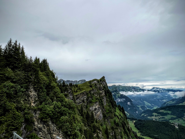 IMG-5152