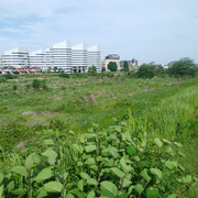 DSC-0068
