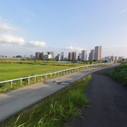 2011-07-21-07