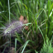 DSC7313
