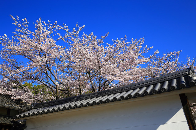 20150409131209bb6
