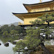IMG-3013