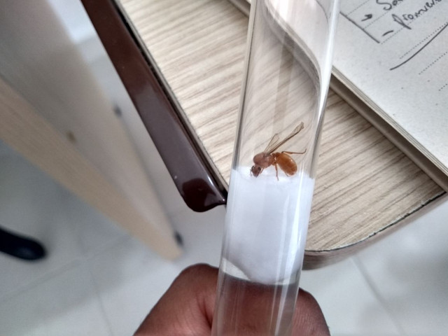 IMG 20180507 WA0035