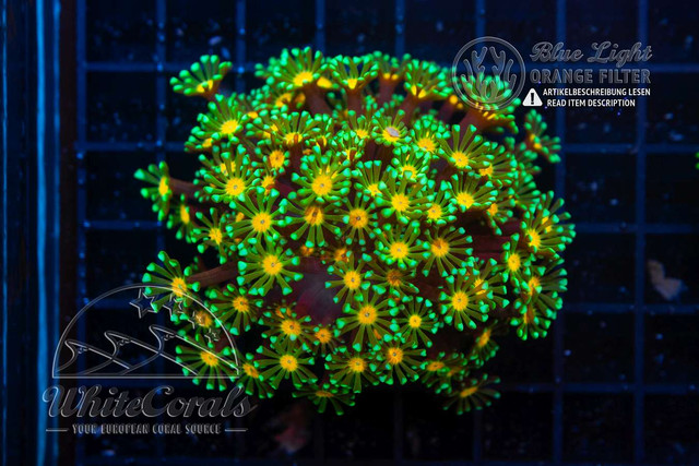 F230902-019