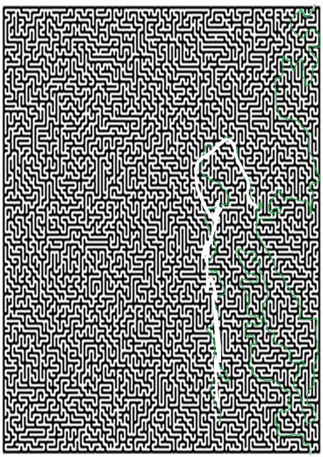 labyrintti