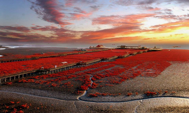 Panjin-China