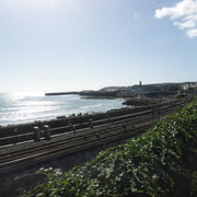 DSCF6726