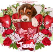 Jewels-4346-F