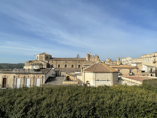 IMG-8550