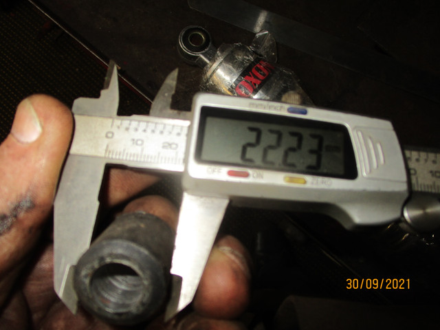 IMG-8524.jpg