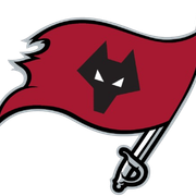 Wolverhampton-Buccaneers-removebg-preview