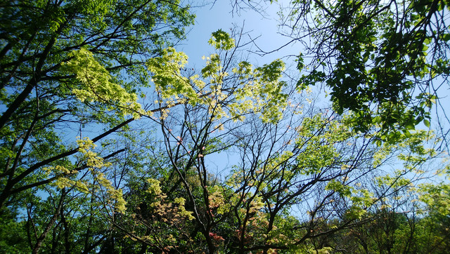 DSC-0028