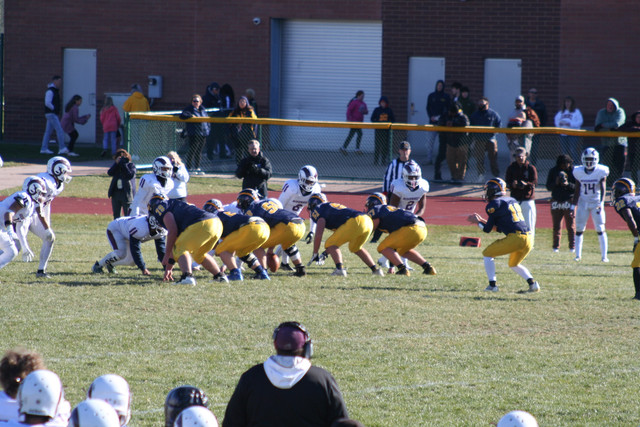 IMG-3178.jpg