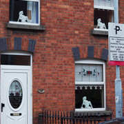 IMGP1671